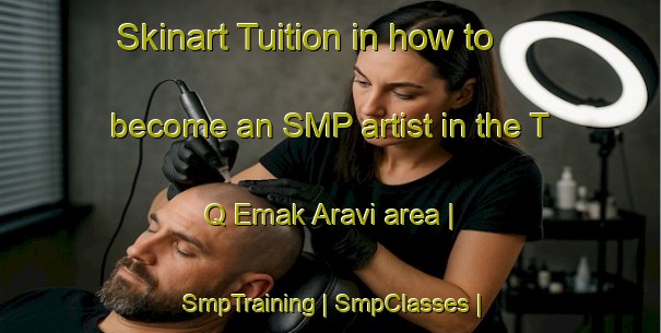 Skinart Tuition in how to become an SMP artist in the T Q Emak Aravi area | SmpTraining | SmpClasses | SkinartTraining-Georgia